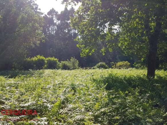 OPORTUNIDAD ÚNICA EN TOMIÑO | CASONA DE 1856 A REFORMAR · 462 M² · 9.420 M² DE FINCA