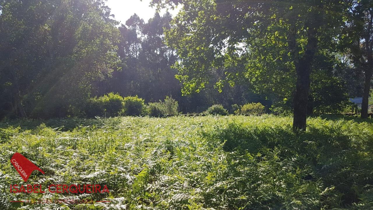 179058483874000039662_173385236848 OPORTUNIDAD ÚNICA EN TOMIÑO | CASONA DE 1856 A REFORMAR · 462 M² · 9.420 M² DE FINCA