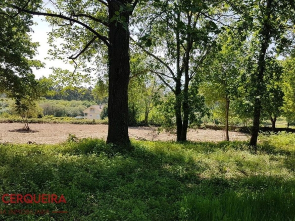 OPORTUNIDAD ÚNICA EN TOMIÑO | CASONA DE 1856 A REFORMAR · 462 M² · 9.420 M² DE FINCA