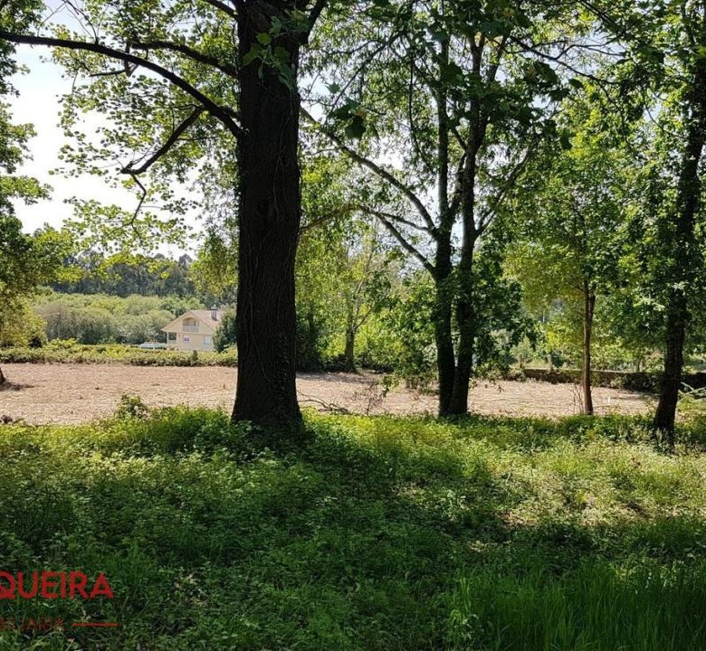 OPORTUNIDAD ÚNICA EN TOMIÑO | CASONA DE 1856 A REFORMAR · 462 M² · 9.420 M² DE FINCA