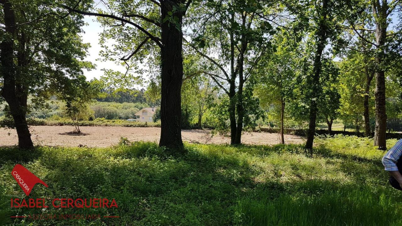 179058483943400039662_173385237054 OPORTUNIDAD ÚNICA EN TOMIÑO | CASONA DE 1856 A REFORMAR · 462 M² · 9.420 M² DE FINCA