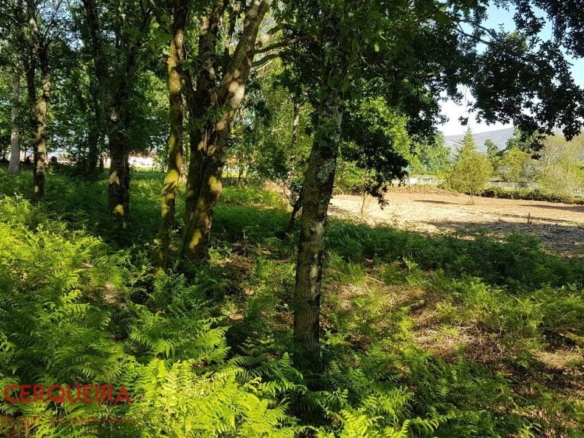 OPORTUNIDAD ÚNICA EN TOMIÑO | CASONA DE 1856 A REFORMAR · 462 M² · 9.420 M² DE FINCA
