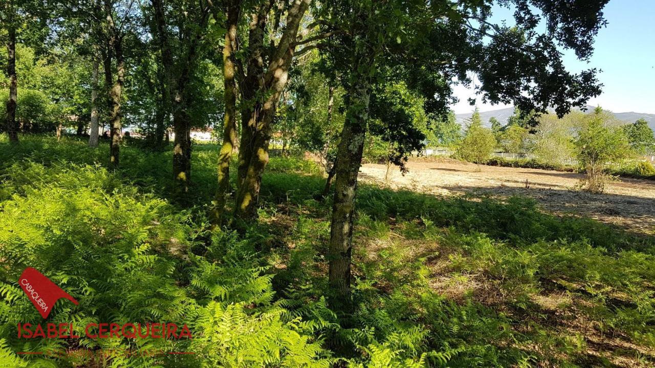 179058484180600039662_173385237463 OPORTUNIDAD ÚNICA EN TOMIÑO | CASONA DE 1856 A REFORMAR · 462 M² · 9.420 M² DE FINCA