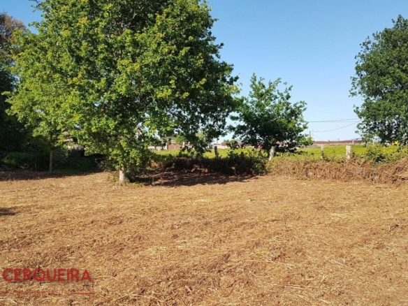 OPORTUNIDAD ÚNICA EN TOMIÑO | CASONA DE 1856 A REFORMAR · 462 M² · 9.420 M² DE FINCA