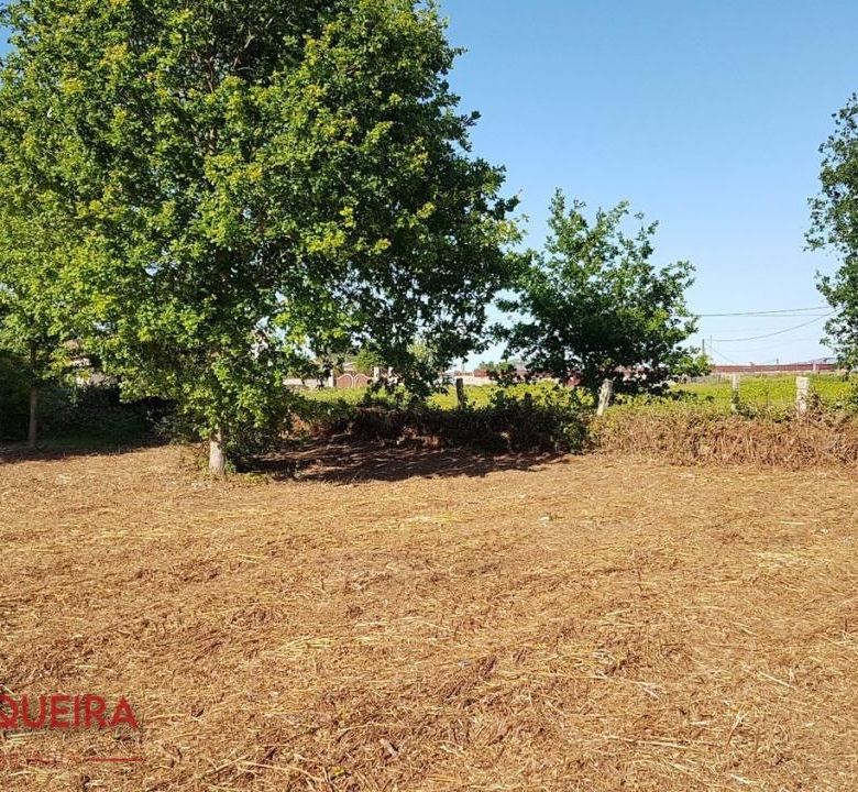 OPORTUNIDAD ÚNICA EN TOMIÑO | CASONA DE 1856 A REFORMAR · 462 M² · 9.420 M² DE FINCA