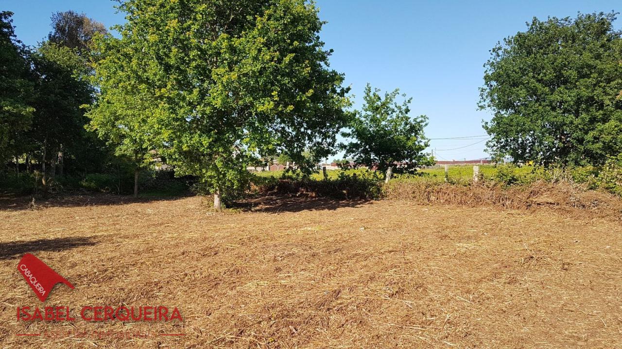 179058484268100039662_173385236600 OPORTUNIDAD ÚNICA EN TOMIÑO | CASONA DE 1856 A REFORMAR · 462 M² · 9.420 M² DE FINCA