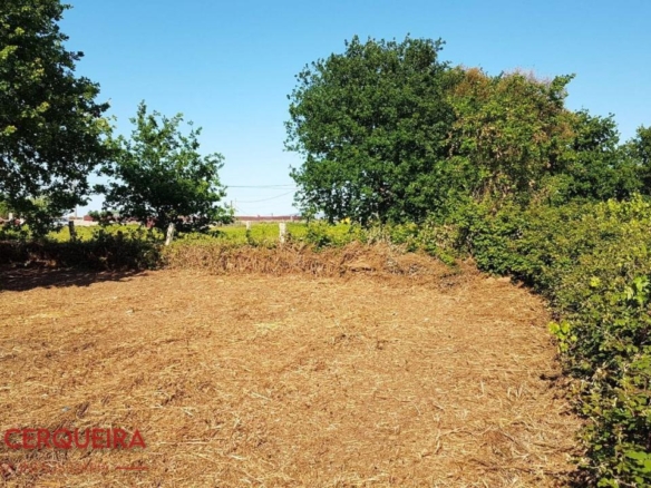 OPORTUNIDAD ÚNICA EN TOMIÑO | CASONA DE 1856 A REFORMAR · 462 M² · 9.420 M² DE FINCA