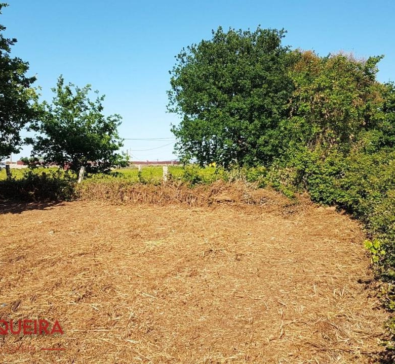 OPORTUNIDAD ÚNICA EN TOMIÑO | CASONA DE 1856 A REFORMAR · 462 M² · 9.420 M² DE FINCA