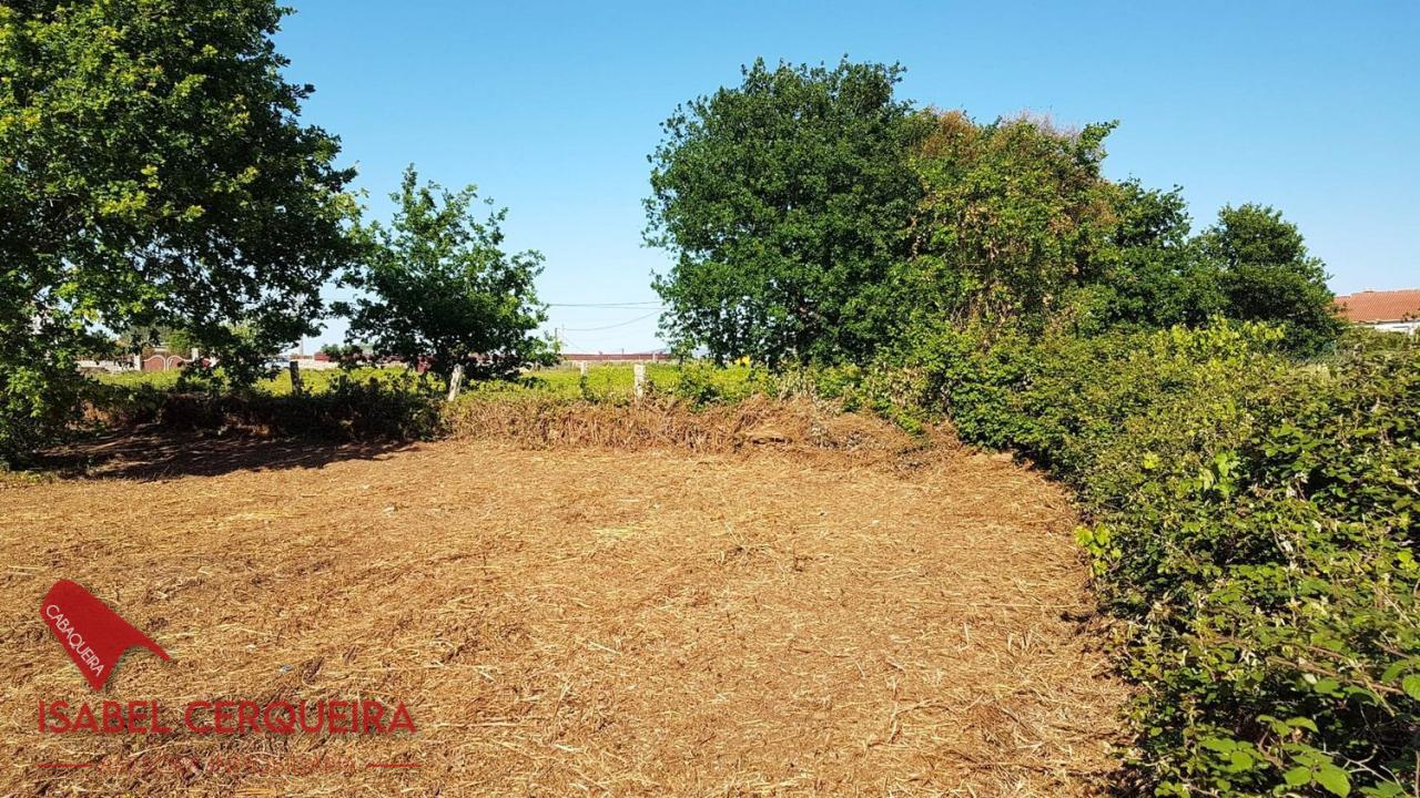 179058484273700039662_173385237421 OPORTUNIDAD ÚNICA EN TOMIÑO | CASONA DE 1856 A REFORMAR · 462 M² · 9.420 M² DE FINCA