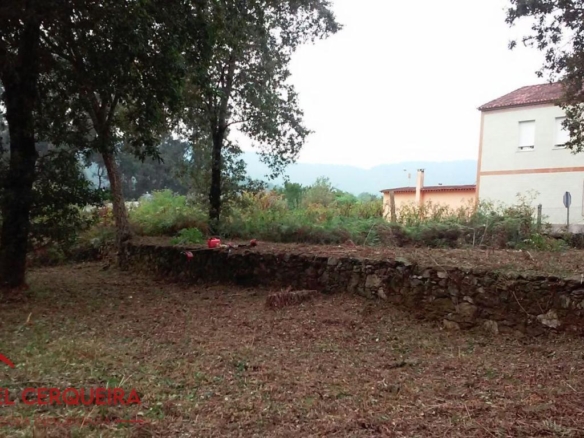 OPORTUNIDAD ÚNICA EN TOMIÑO | CASONA DE 1856 A REFORMAR · 462 M² · 9.420 M² DE FINCA