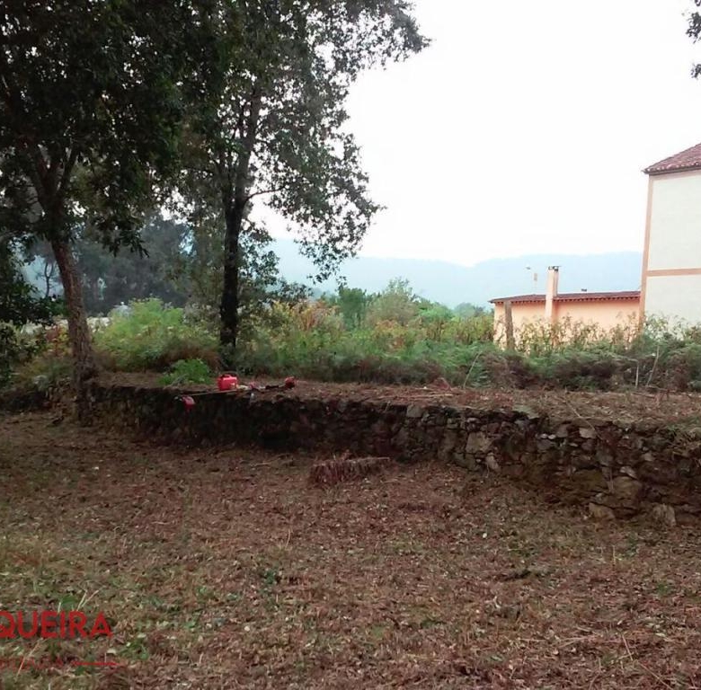 OPORTUNIDAD ÚNICA EN TOMIÑO | CASONA DE 1856 A REFORMAR · 462 M² · 9.420 M² DE FINCA