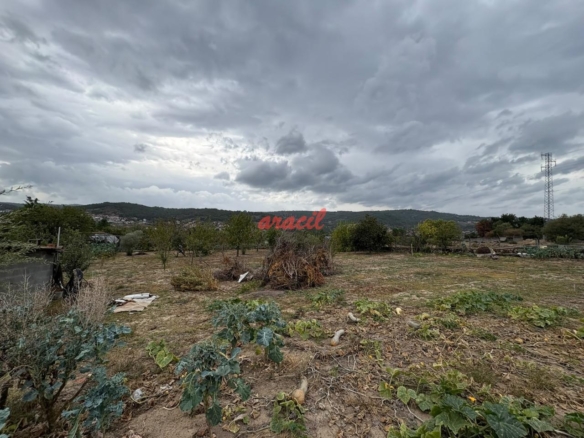 Parcela en San Cibrao das Viñas
