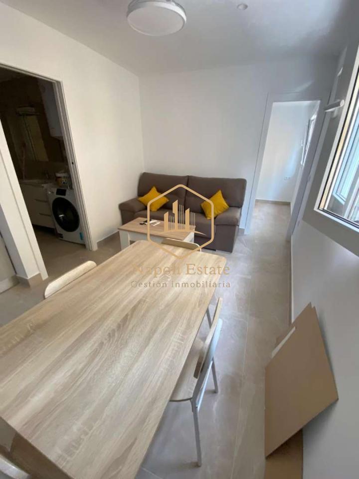179093359207400173824_179093339761 ACOGEDOR PISO REFORMADO EN EL CENTRO DE MÁLAGA