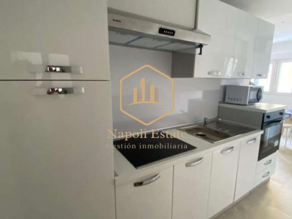 ACOGEDOR PISO REFORMADO EN EL CENTRO DE MÁLAGA