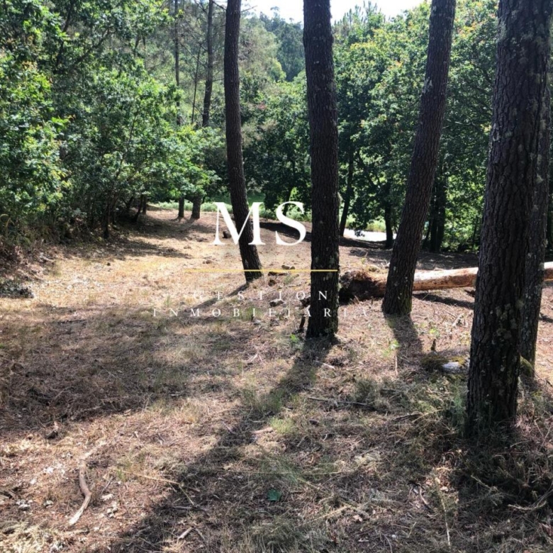 Parcela en lugar Palleiros, Tenorio, Cotobade. Pontevedra