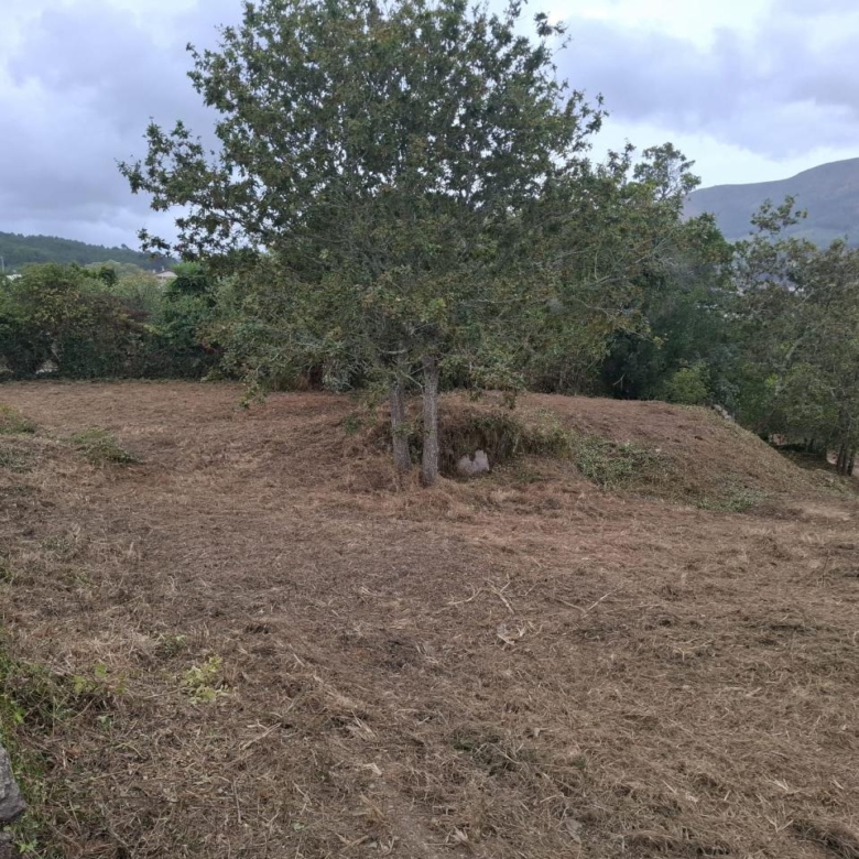 ¡Oportunidad en Monteiro, Gondomar! Solar edificable  vivienda unifamiliar o  proyecto turístico.