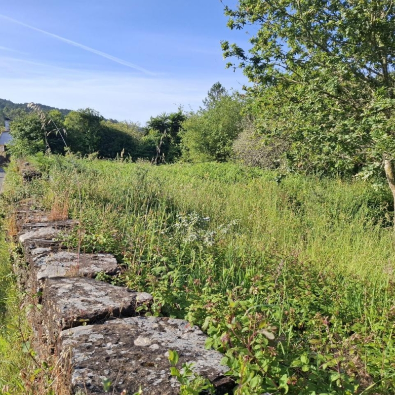 ¡Oportunidad en Monteiro, Gondomar! Solar edificable  vivienda unifamiliar o  proyecto turístico.