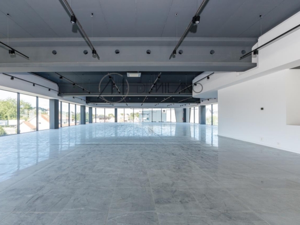 Nave industrial de 3.200 m² con licencia de concesionario y taller en Avenida de Madrid