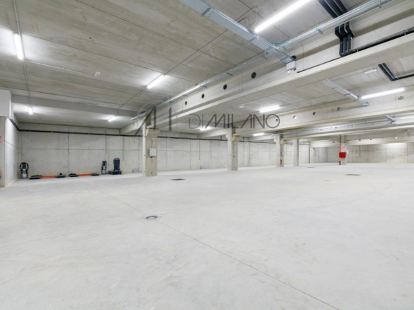 Nave industrial de 3.200 m² con licencia de concesionario y taller en Avenida de Madrid