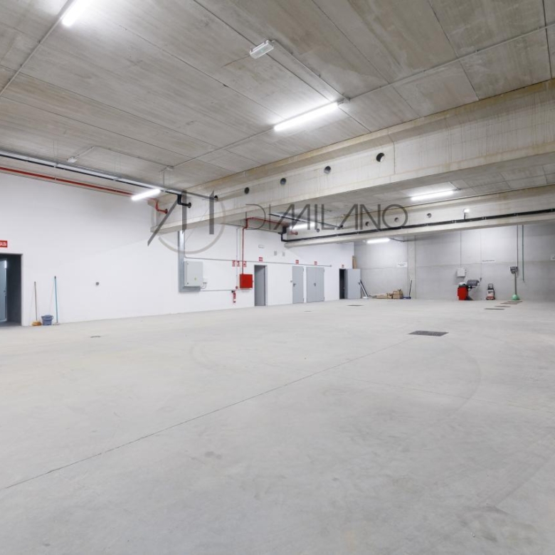 Nave industrial de 3.200 m² con licencia de concesionario y taller en Avenida de Madrid