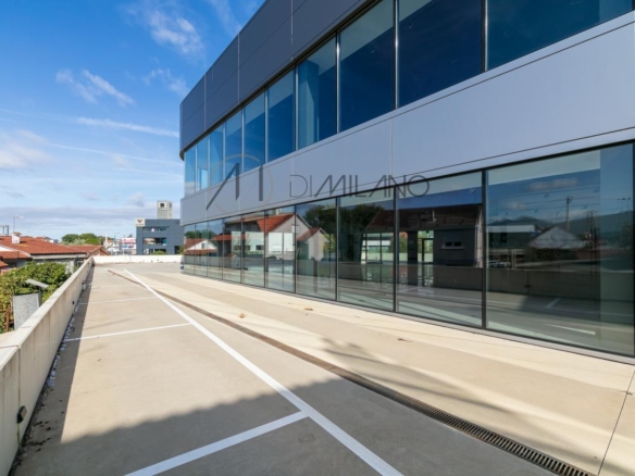 Nave industrial de 3.200 m² con licencia de concesionario y taller en Avenida de Madrid