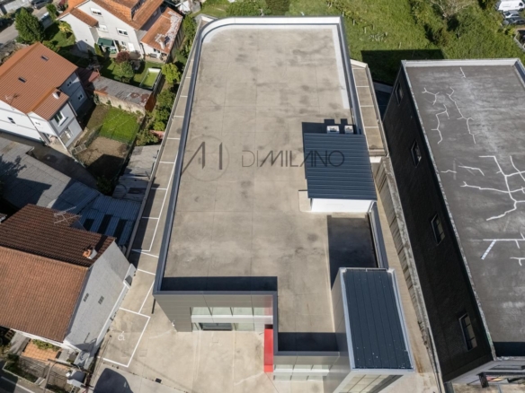 Nave industrial de 3.200 m² con licencia de concesionario y taller en Avenida de Madrid