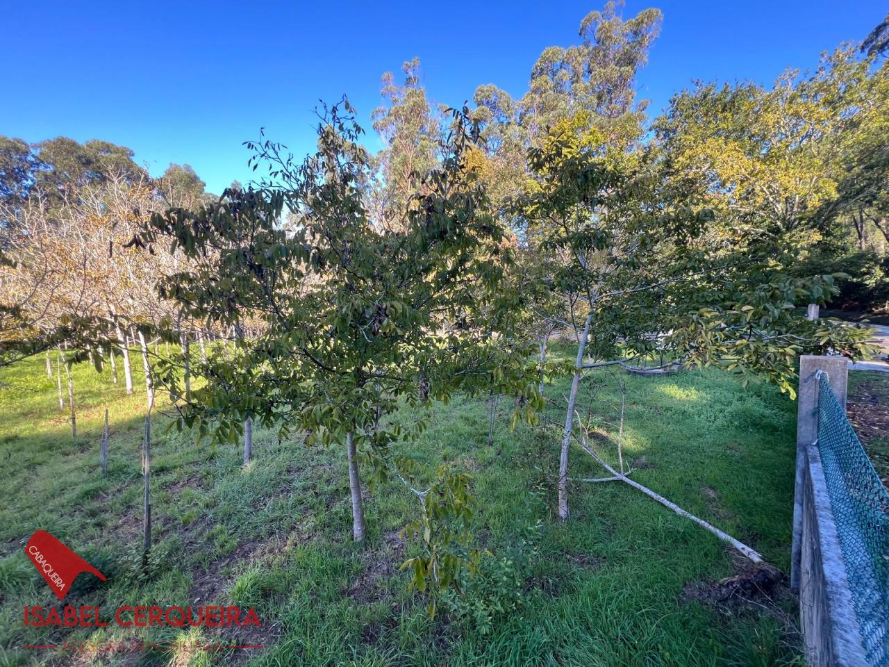 179154033568800011265_179153960672 TERRENO NO EDIFICABLE DE 2.816 M² EN O ROSAL | CERRADO Y CON POZO