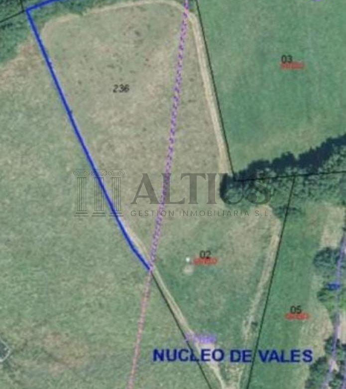SE VENDE TERRENO DE 2.832 M² EN VALES-GRESANDE, LALÍN