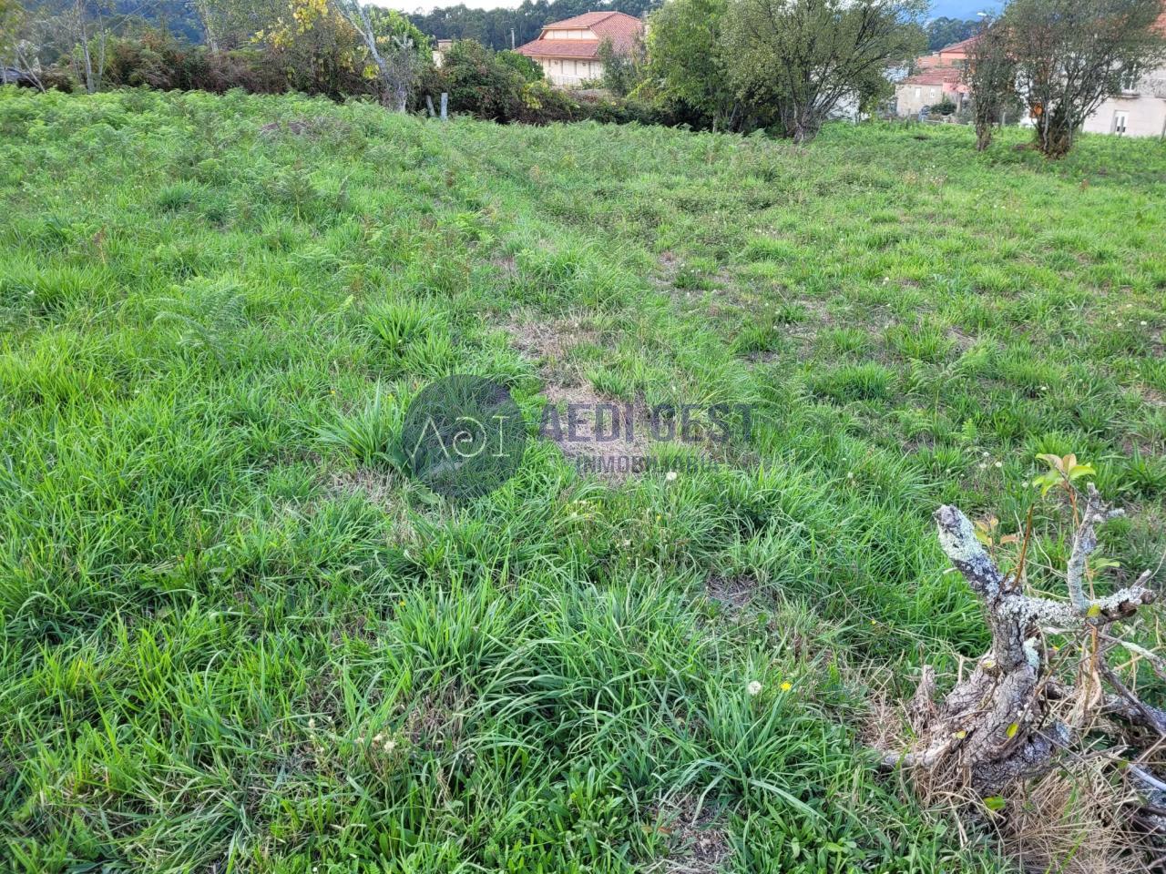 179199558538500046182_179199519152 Casa en GONDOMAR