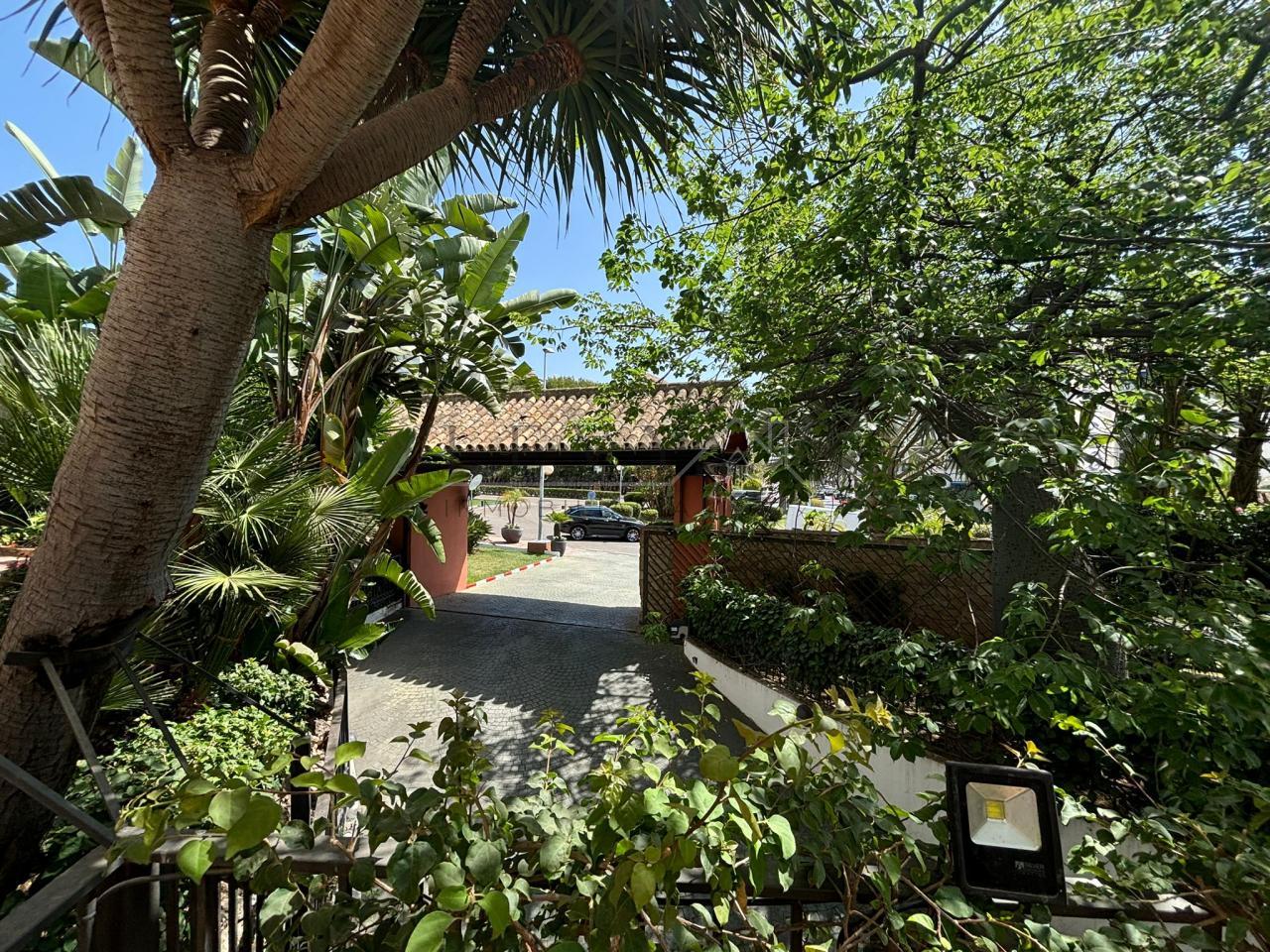 179214578263100174071_179214474297 Piso en venta en Puerto Banus