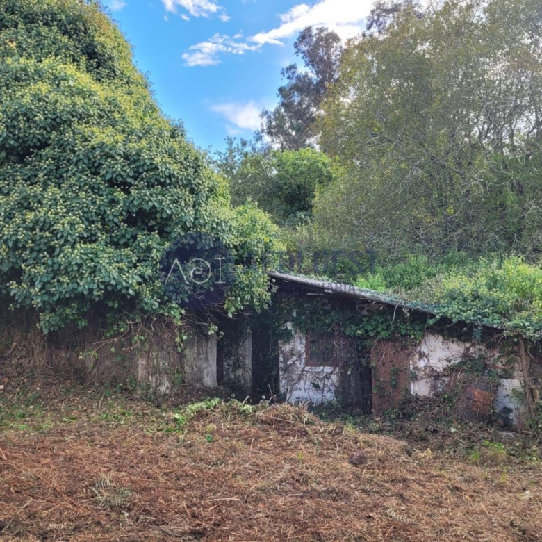 Casa en TOMIÑO