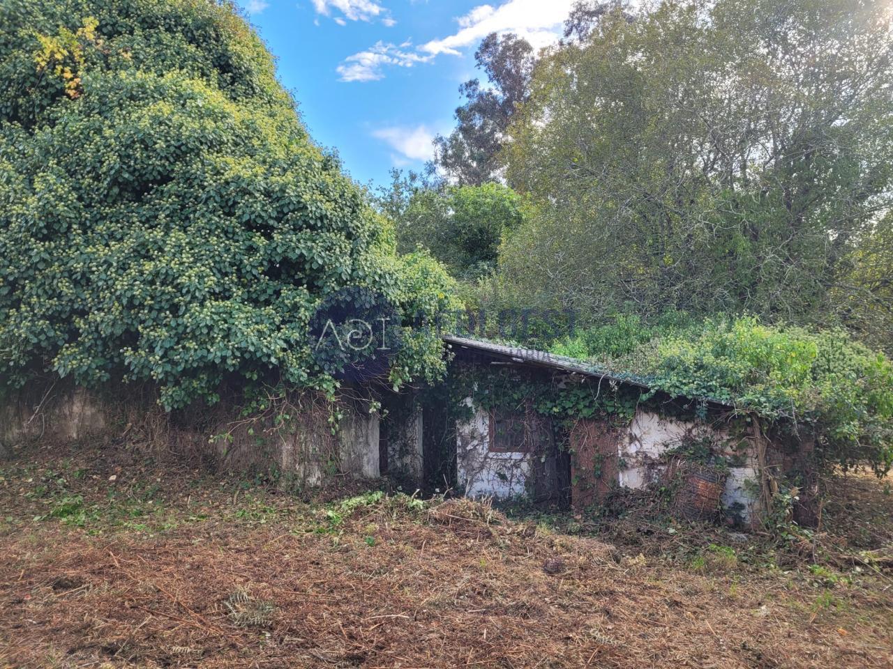 179248206464700046229_179199651031 Casa en TOMIÑO