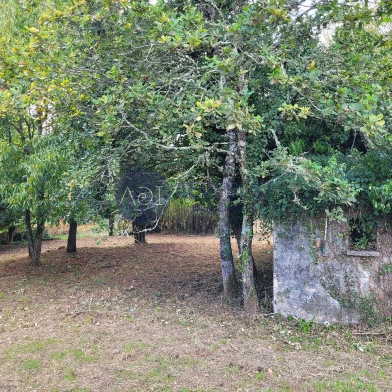 Casa en TOMIÑO