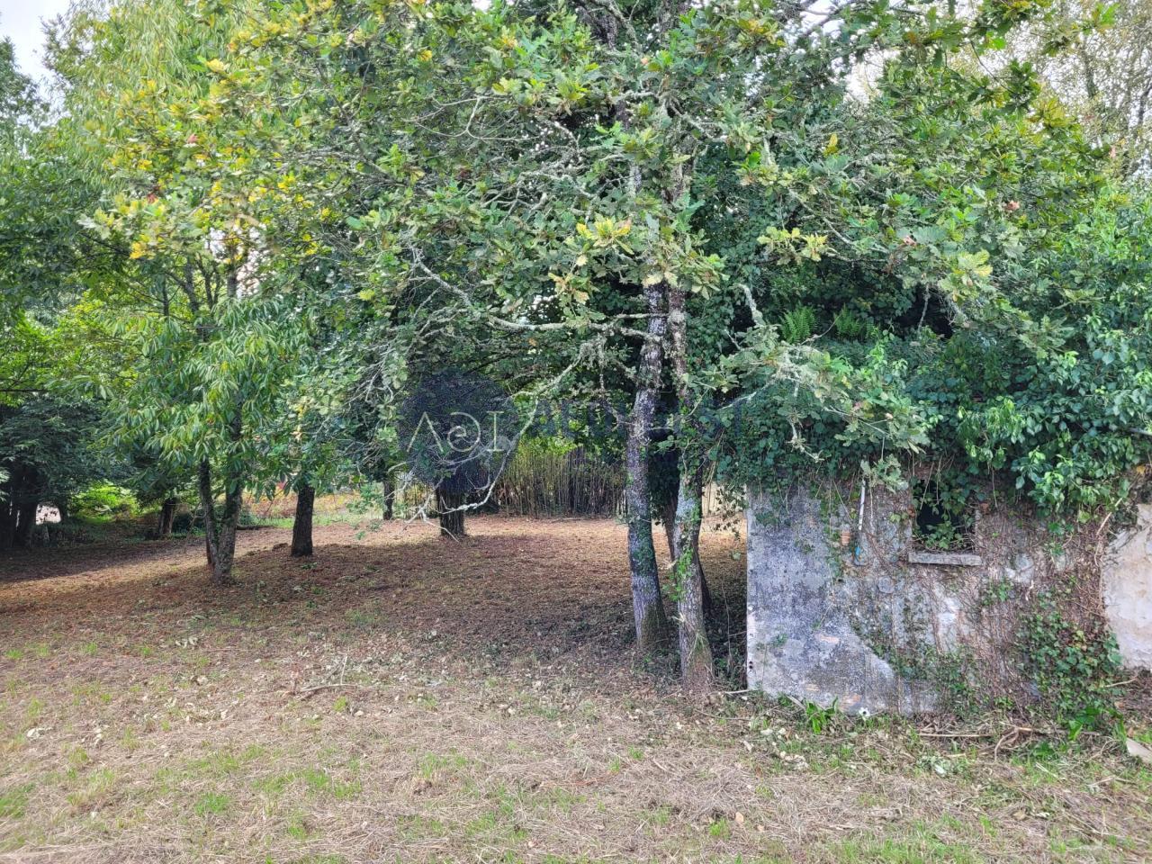 179248206761300046229_179199651964 Casa en TOMIÑO