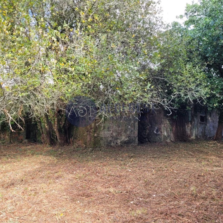 Casa en TOMIÑO
