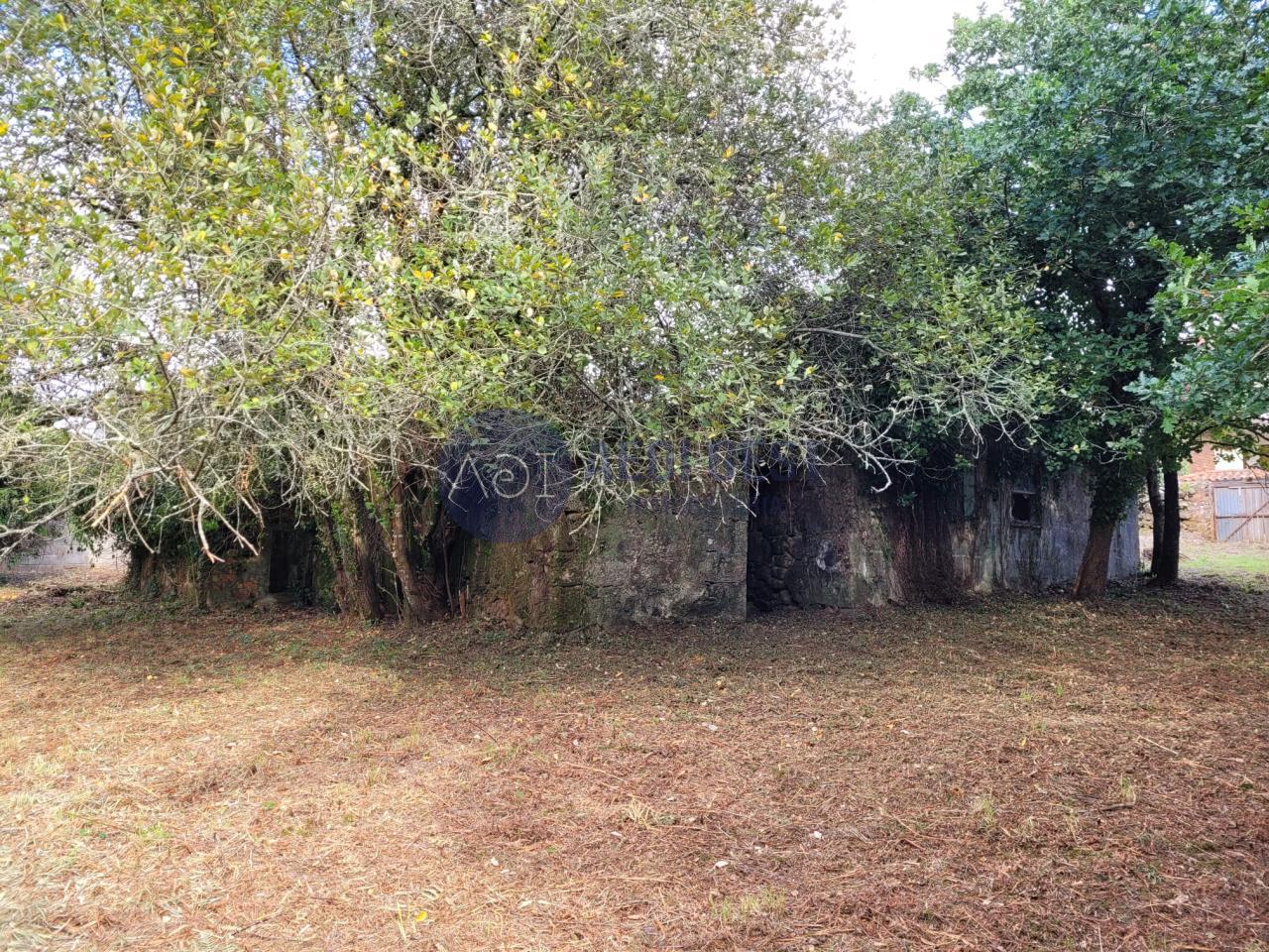 179248206887200046229_179199649964 Casa en TOMIÑO