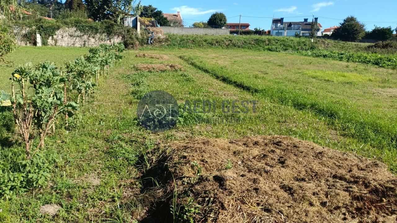 179248356605900011296_179248326851 Finca Rústica en Nigrán