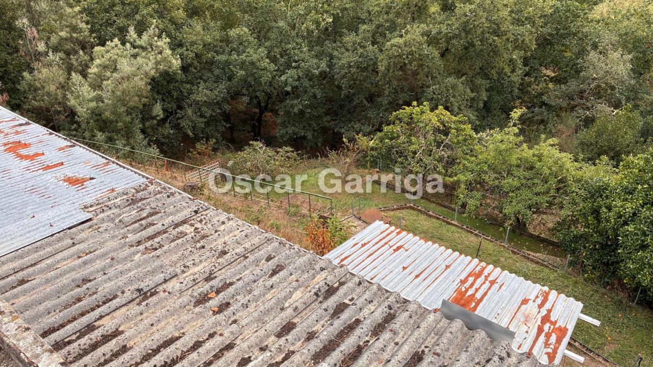 ¡OPORTUNIDAD INMOBILIARIA EN PLENA NATURALEZA!  SE VENDEN NAVES INDUSTRIALES CON FINCA COLINDANTE