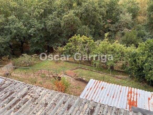 ¡OPORTUNIDAD INMOBILIARIA EN PLENA NATURALEZA!  SE VENDEN NAVES INDUSTRIALES CON FINCA COLINDANTE