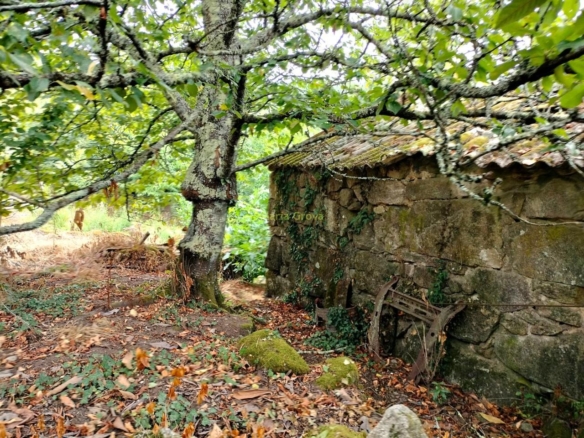 Casa en Arbo