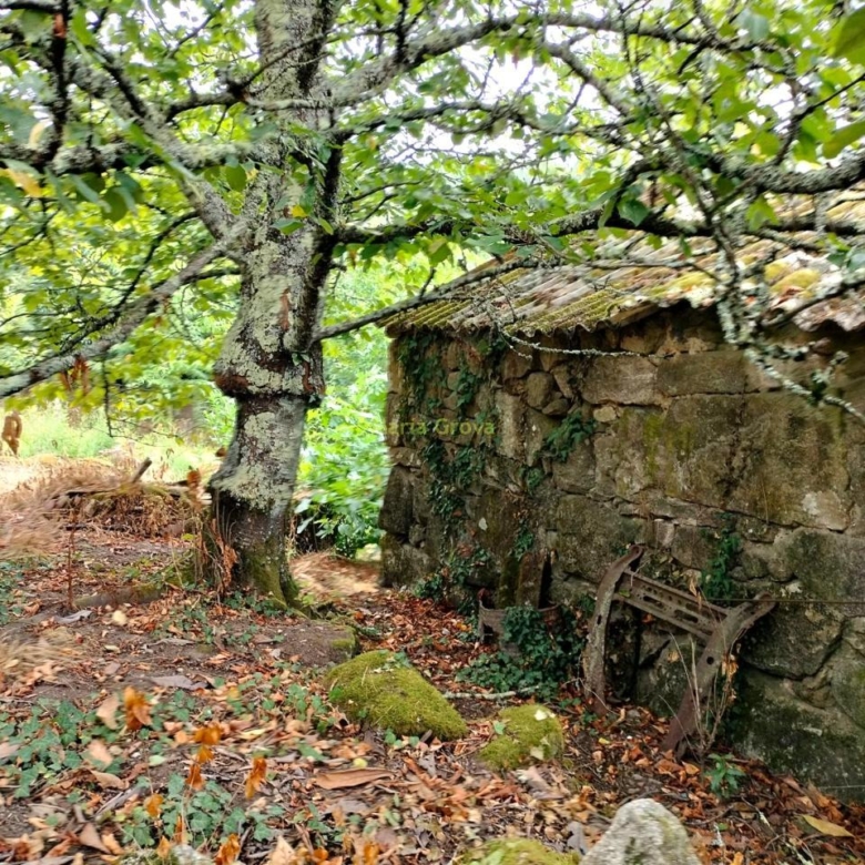 Casa en Arbo