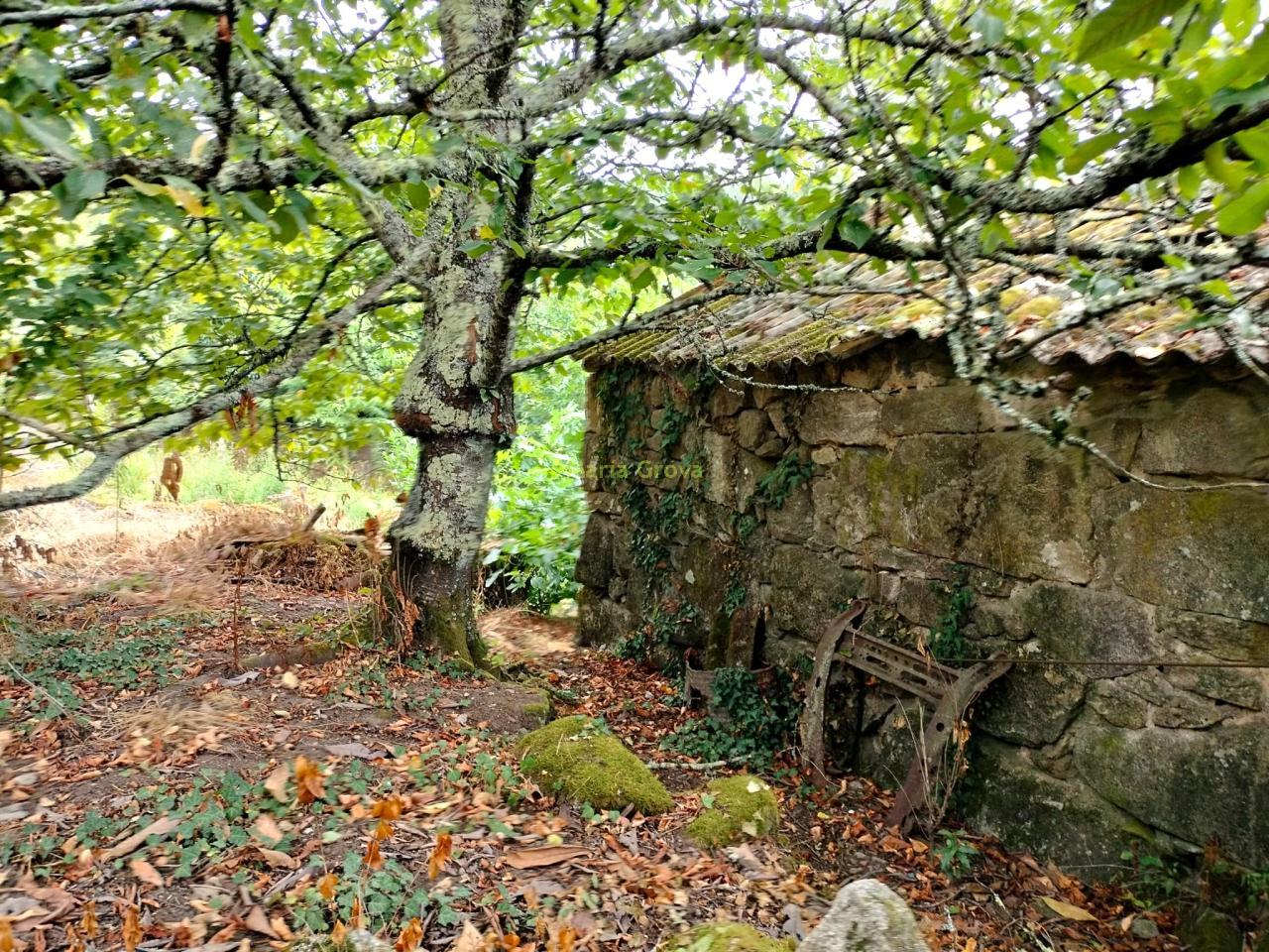 Casa en Arbo