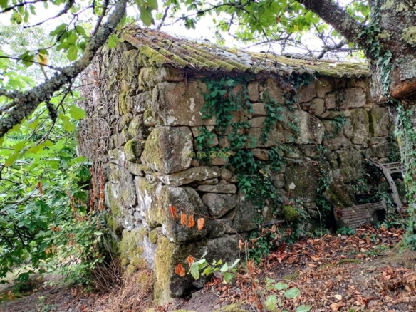 Casa en Arbo