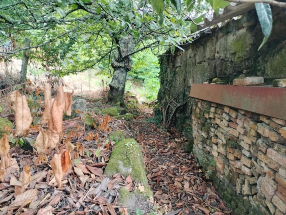 Casa en Arbo