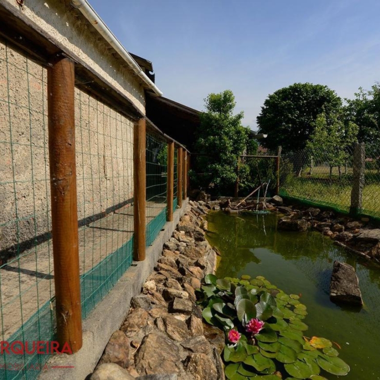 ¡VIVE, EMPRENDE O INVIERTE! CASA DE PIEDRA CON PISCINA Y AMPLIA FINCA EN TOMIÑO