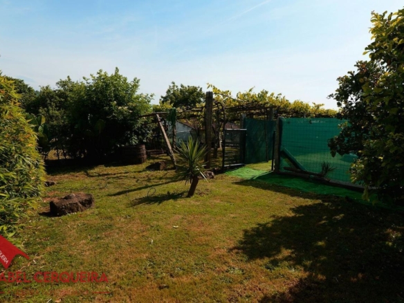¡VIVE, EMPRENDE O INVIERTE! CASA DE PIEDRA CON PISCINA Y AMPLIA FINCA EN TOMIÑO