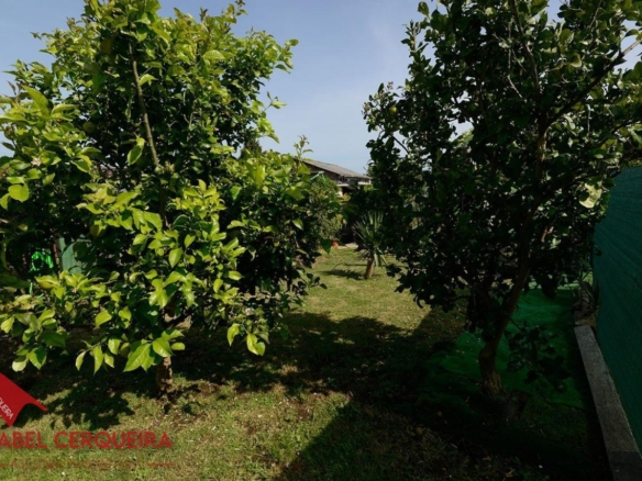 ¡VIVE, EMPRENDE O INVIERTE! CASA DE PIEDRA CON PISCINA Y AMPLIA FINCA EN TOMIÑO