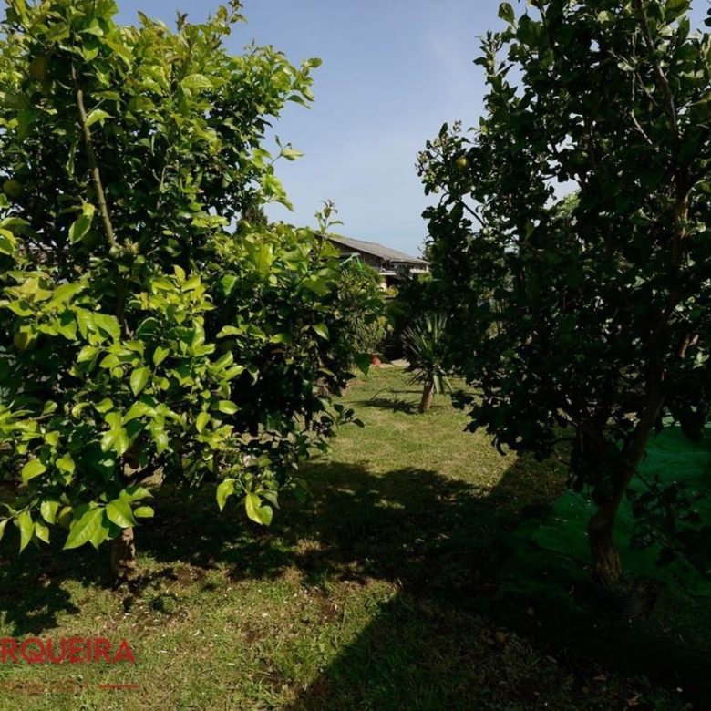 ¡VIVE, EMPRENDE O INVIERTE! CASA DE PIEDRA CON PISCINA Y AMPLIA FINCA EN TOMIÑO