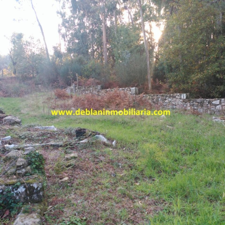 VIVIENDA UNIFAMILIAR DE 544 M2, CON PARCELA 2.076 M2