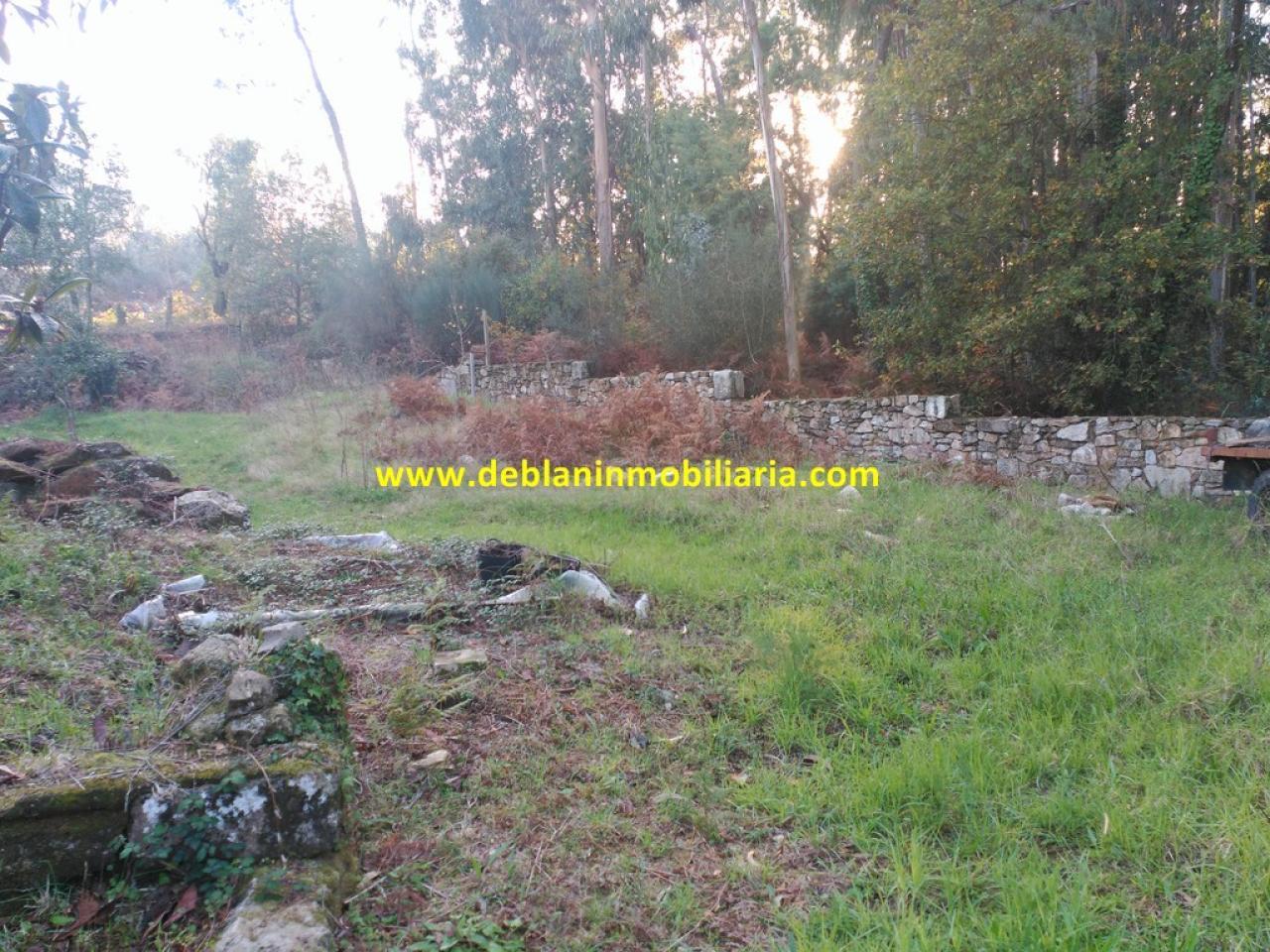 179265500313100046259_179265494714 VIVIENDA UNIFAMILIAR DE 544 M2, CON PARCELA 2.076 M2